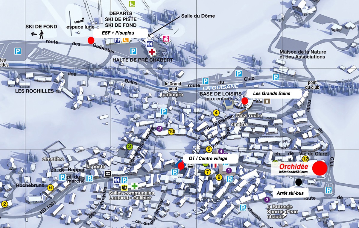 Orchidée Serre Chevalier 1500 Orchidée Serre Chevalier 1500