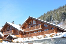 Les jardins d'hiver du Morel (Meribel)