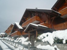 Les jardins d'hiver du Morel (Meribel)